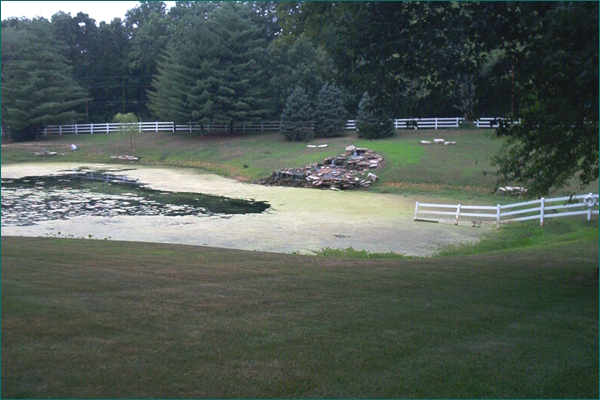Private pond with algae and aquatic plant buildup
