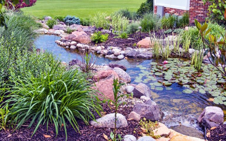 Landscaped koi pond with rocks, plants, and shallow stream